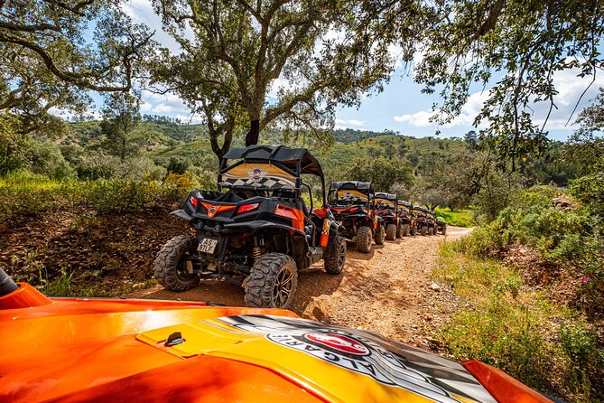 Albufeira: 1.5h Off-Road Buggy Tour - Dirt & Scenic Trails - The driving requirement: license and deposit reality check