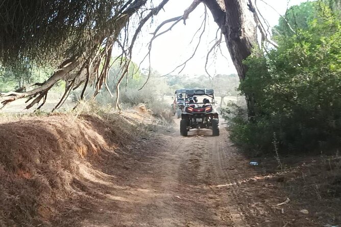 Albufeira 1 hour Off-Road Tour Buggy Adventure Tour - $42 value math: what’s included, what’s not, and what to ask