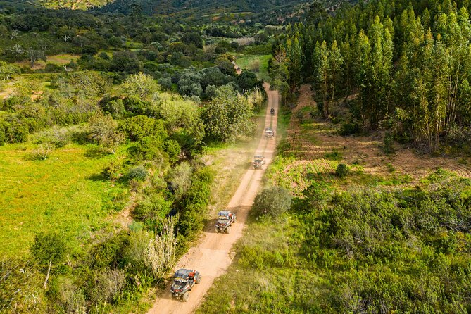 Albufeira: 3-Hour Off-Road Buggy Tour to Hidden Algarve Trails - Gear and comfort: staying clean-ish in a muddy country
