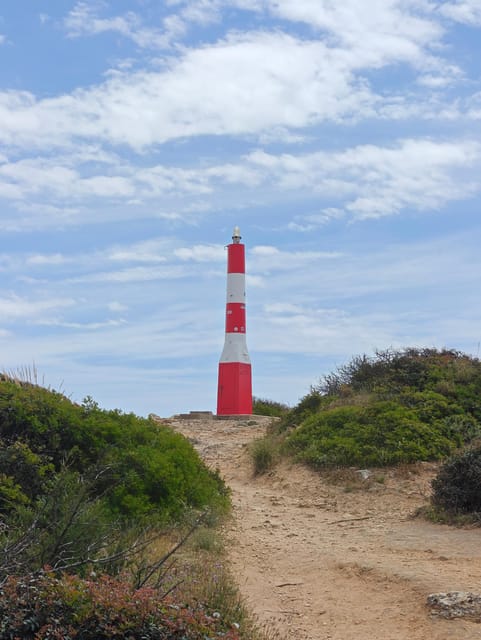 Albufeira: Albufeira Marina & west coast Tour 1.5h - Price check: is $88 for up to 2 good value for this route?
