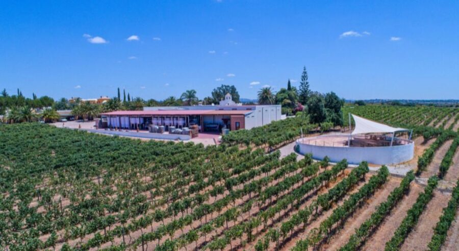 Albufeira Coast Tour, Winery & Chicken lunch - Getting picked up and set for Albufeira’s best angles