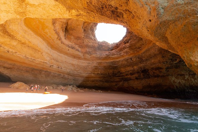 Albufeira: Dolphins and Caves Private Tour - Marine Biologist Commentary Makes the Dolphin Spotting Feel Less Guessy