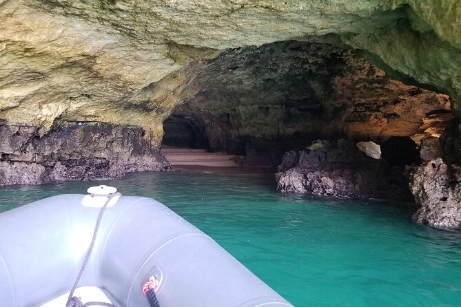 Albufeira: Dolphins and Caves Tour - The Optional Swim Stop: How Conditions Change the Plan