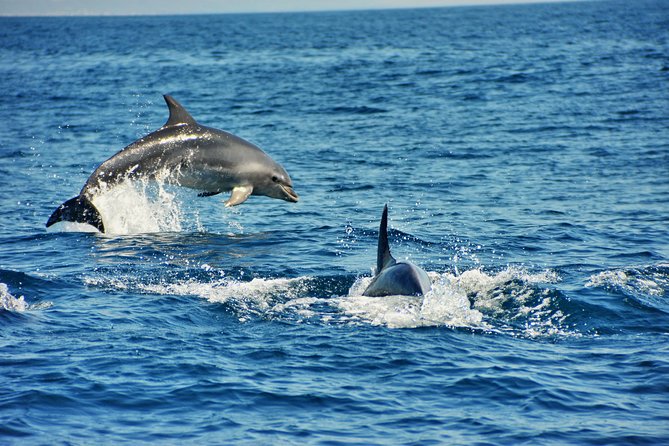 Albufeira Dreamer Boat Trip - Swim Time: Included, Conditional, and Not Cave-Focused