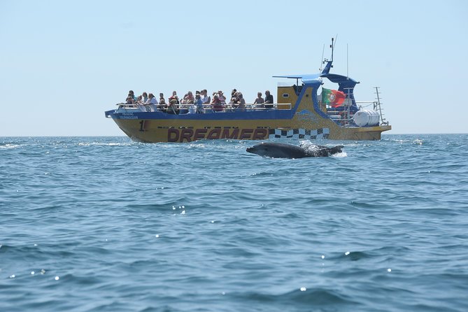 Albufeira Dreamer Boat Trip - Comfort, Safety, and Motion Sickness: The Wind Factor