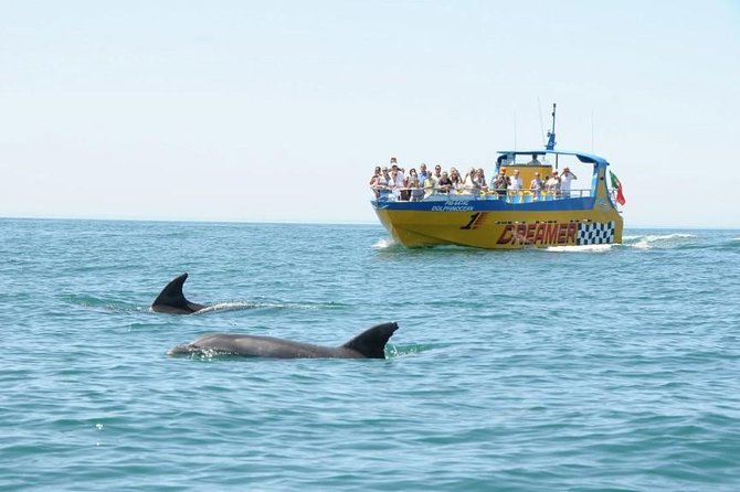 Albufeira Dreamer Boat Trip - Meeting at the Marina and What the Onboard Setup Feels Like