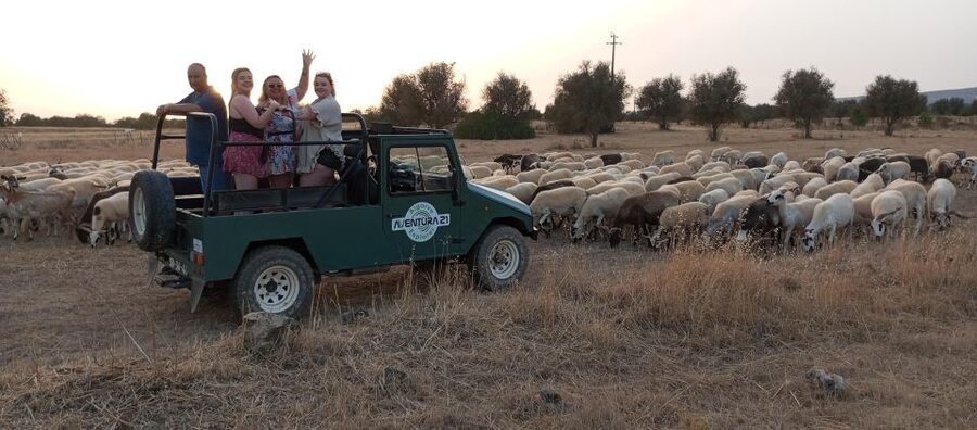Albufeira: Jeep Safari Half-Day Countryside Tour - One thing to plan for: the ride can be bumpy