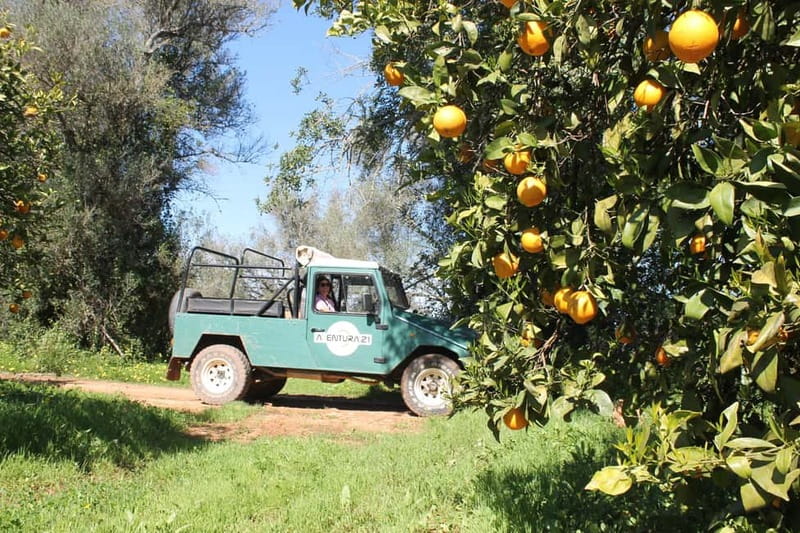 Albufeira Jeep Safari with Zoo - Practical Tips: How to Make This Day Tour Feel Easy