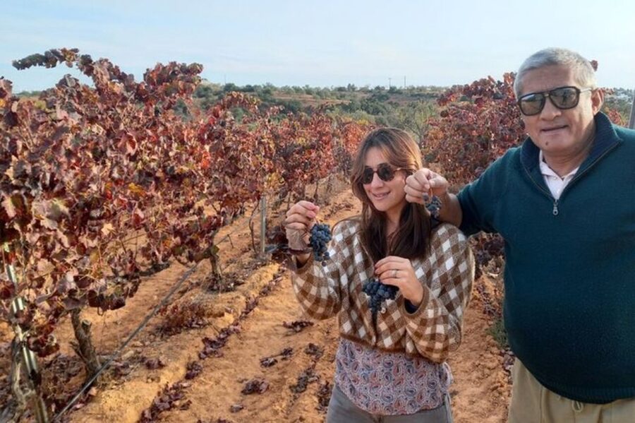 Albufeira/Vilamoura: Winery Tour with Wine Tasting and Tapas - How This 3-Hour Wine and Tapas Tour Fits Your Algarve Day