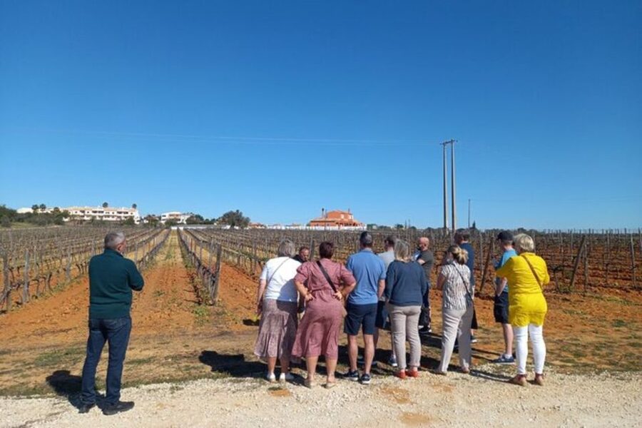 Albufeira/Vilamoura: Winery Tour with Wine Tasting and Tapas - The Wine-Making Tour: The Part That Changes How You Taste