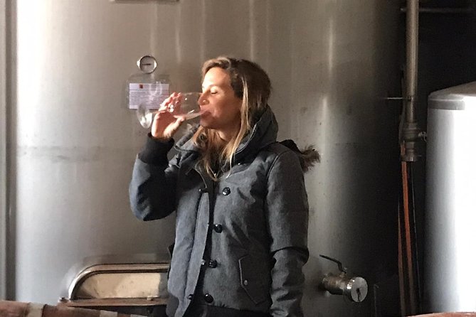 Albufeira Wine Tasting: Boutique Winery Tour & Historic Silves - Your tasting flight, snacks, and the real question: will it taste good