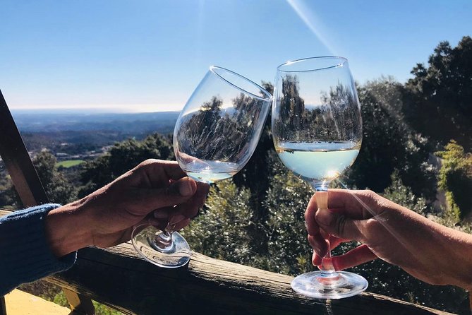 Albufeira Wine Tour: 2 Vineyards, 6 Tastings & Historic Silves - The Six Tastings: What You Actually Taste (and How to Handle the Day)