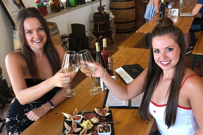 Albufeira Wine Tour: 2 Vineyards, 6 Tastings & Historic Silves - The Silves Castle Area: What You Get and What Costs Extra