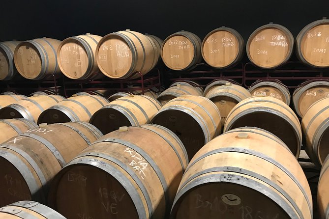Albufeira Wine Tour: 2 Vineyards, 6 Tastings & Historic Silves - Who Should Book This Algarve Wine Tour (and Who Might Not)