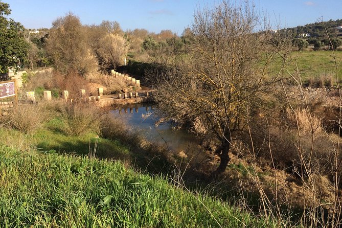 Algarve Jeep Safari - Day Trip - Guided panoramic drive plus the local animal farm
