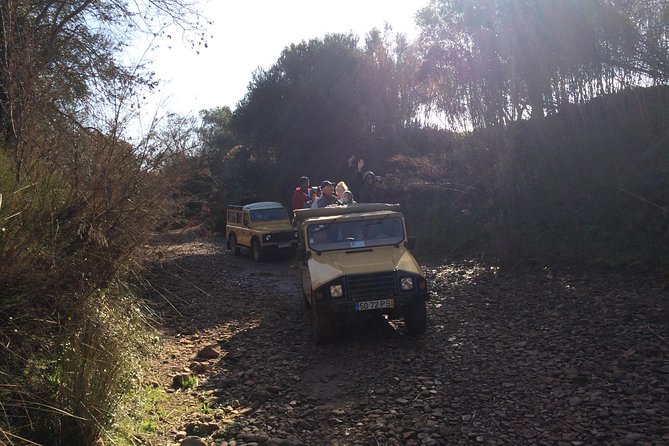 Algarve Jeep Safari - Day Trip - Paderne Castle: photos, free admission, and a quick look inside