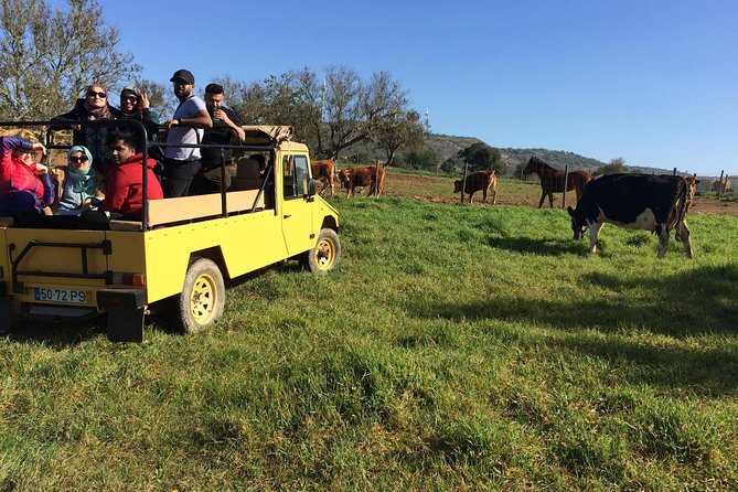 Algarve Mountains & Villages - Half Day Jeep Safari Trip - Jeep Safari in the Algarve Mountains: What This Trip Feels Like