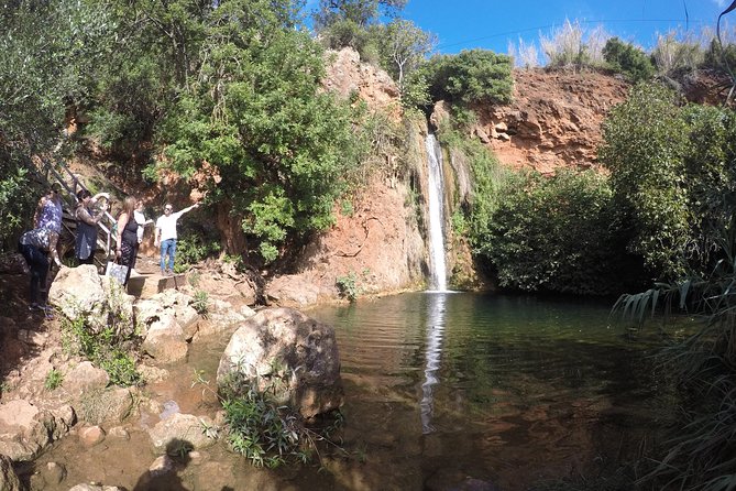 Algarve Safari - Full Day Tour from Albufeira w / lunch - Price and What You Actually Get for $84.48 With Lunch