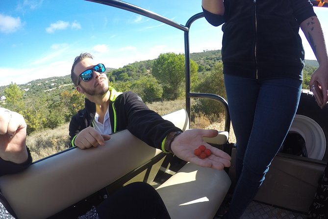 Algarve Safari - Full Day Tour from Albufeira w / lunch - Stop 1: Paderne Castle in 20 Minutes (History + Views)