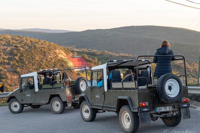 Algarve Safari - Full Day Tour from Albufeira w / lunch - Jeep-Style Driving: What the Interior Route Feels Like