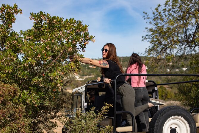 Algarve Safari - Half Day from Albufeira - Stop 3: Queda do Vigário, where weather actually changes the plan