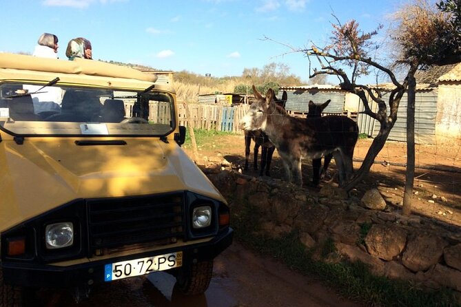 Algarve Sunset Experience - Half Day Jeep Safari Trip - São Bartolomeu de Messines: The Highest Point and the Sunset Payoff