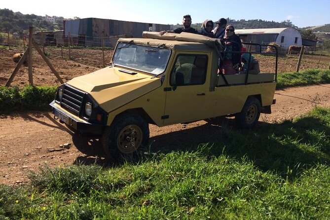 Algarve Sunset Experience - Half Day Jeep Safari Trip - Price and Logistics: What You’re Paying For (and What You’re Not)