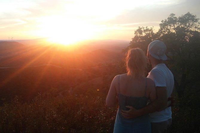 Algarve Sunset Safari Tour from Albufeira - Should You Book the Algarve Sunset Safari from Albufeira?
