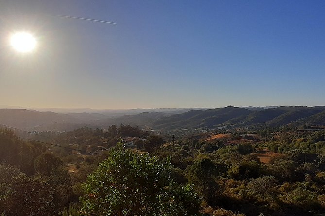 Barrocal Adventure - 4 hours - Cork Oak Forest Stories: Why Portugal Cares About This Tree