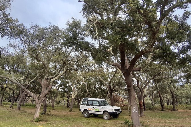 Barrocal Adventure - 4 hours - The Guide Factor: Small Details That Make the Tour Work