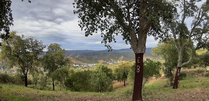 Barrocal Adventure - 4 hours - Price and Value: Is $44.54 Worth It?