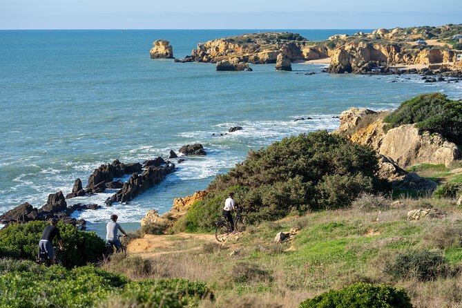 Beach and Cliffs MTB Tour - Key Highlights to Know Before You Go