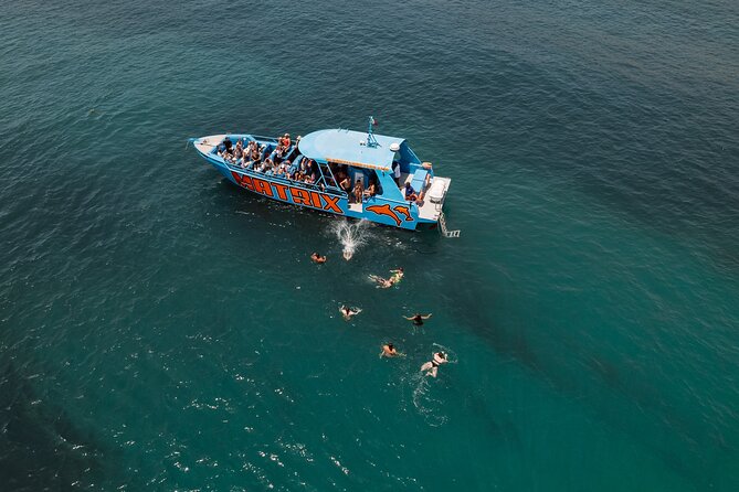 Benagil Caves and Dolphin Watching - 2.5h - Value for Money: Is $42.34 a Good Deal?