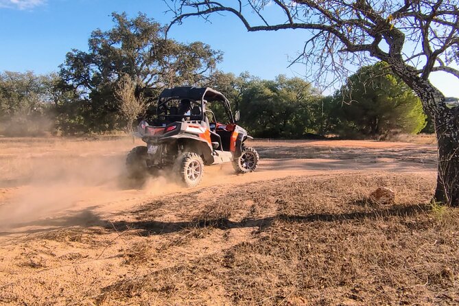 Buggy Expedition - Half-Day Off-Road Guided Tour from Albufeira - Key Things You’ll Notice on This Buggy Expedition