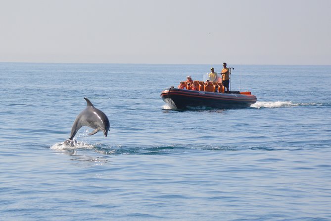 Cheapest Family Friendly Boat Trip From Vilamoura Algarve - Gale Caves: the stop that gives you a memorable payoff