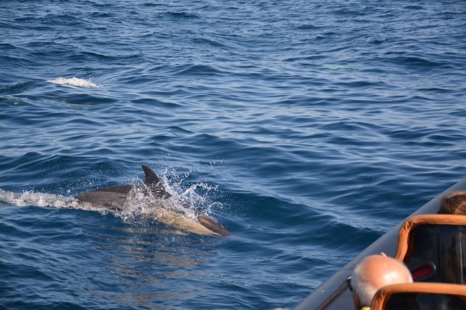 Cheapest Family Friendly Boat Trip From Vilamoura Algarve - Group size, comfort, and family fit (including the tricky bits)