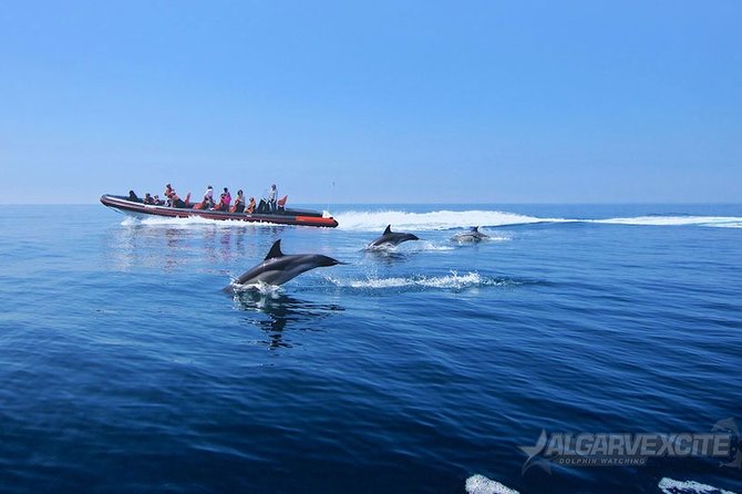 Cheapest Family Friendly Boat Trip From Vilamoura Algarve - Weather rules and what happens if it’s cancelled