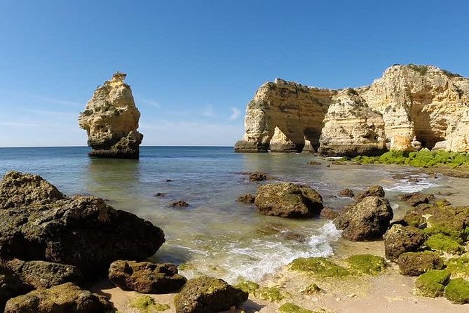 Discover The Algarve Region and The Local Gastronomy - Praia da Rocha in Portimão: big sand, and the fortress defense story