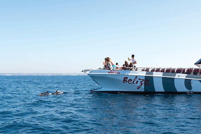 Dolphin Watching and Cave Boat Cruise from Albufeira - Key highlights at a glance
