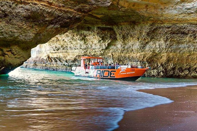 Dolphin Watching and Caves Cruise - Who Should Book This and Who Might Skip It