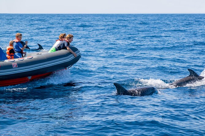Dolphins & Caves on Rib Boat - A fast, seaworthy way to see Benagil