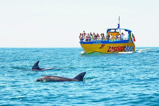 Dreamer Cave and Dolphins Boat Tour Ticket Albufeira - Key things to know before you go