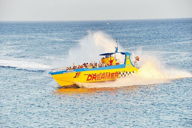 Dreamer Cave and Dolphins Boat Tour Ticket Albufeira - What to bring (and what to skip) for a smoother cave-and-dolphin ride