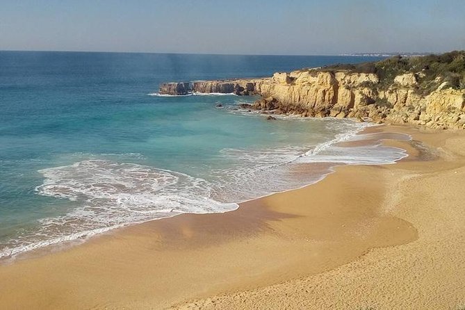 Enjoy The Algarvian Wine Taste & Coast Line Private Van Tour - Quinta dos Vales Wine Estate: what to watch for during the tasting