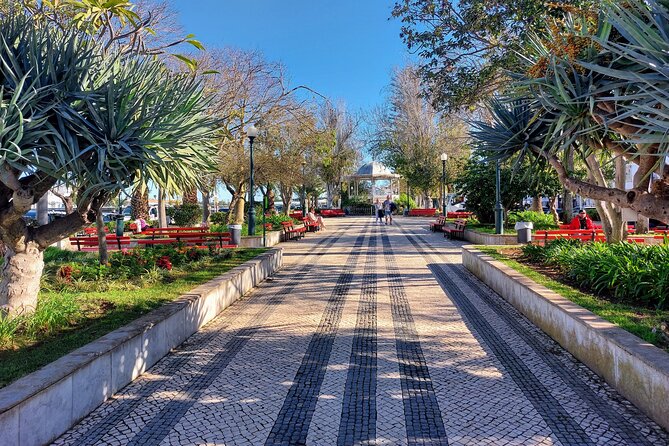 Faro and Tavira - Private - Getting From Albufeira Area: Pickup and a Clean Start