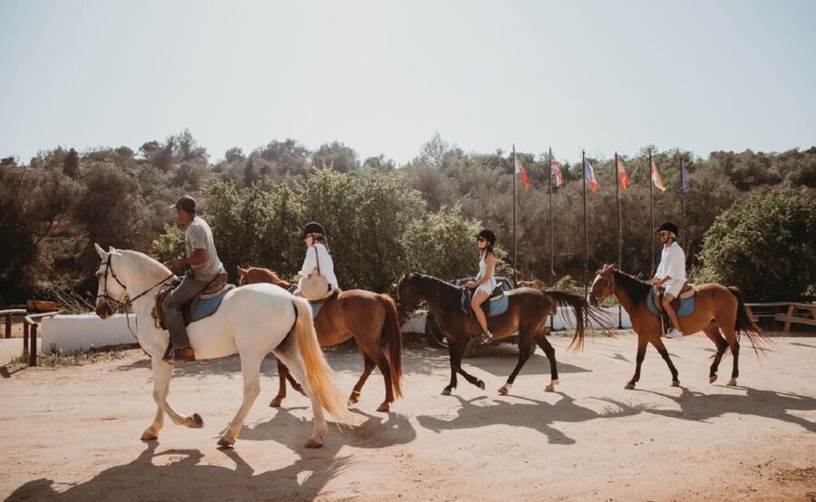 From Albufeira: Half-Day Hidden Gems & Horse Riding Tour - Should You Book This Albufeira Horse-and-Views Tour?