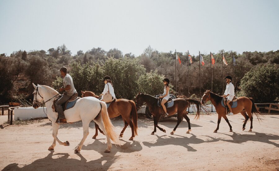 From Albufeira: Horse Riding Tour with Pickup - Why This Albufeira Horse Ride Feels Worth Your Time