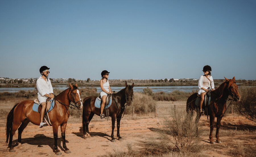 From Albufeira: Horse Riding Tour with Pickup - Price and Value: How $78 Adds Up for a 100-Minute Horse Experience