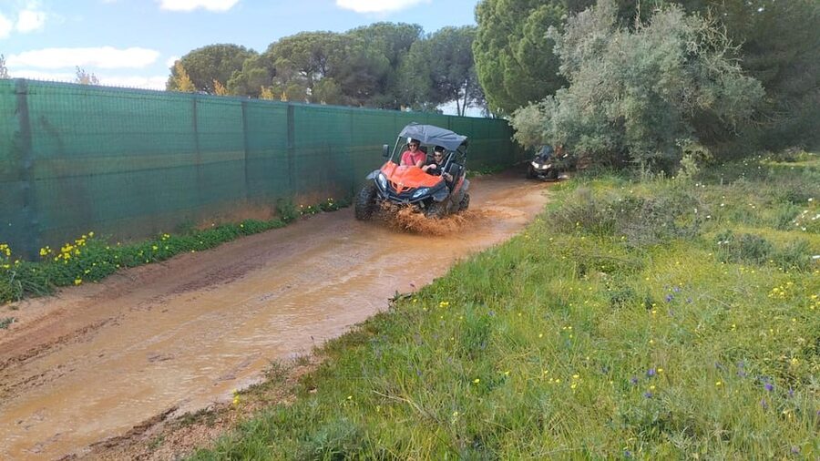 From Albufeira: Paderne Adventure Buggy Ride - Who This Tour Fits Best (and Who Should Skip It)