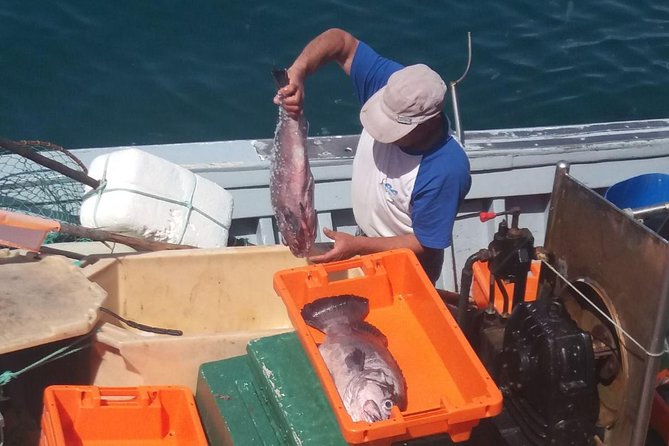 Full-Day Lagos and Sagres Tour from Albufeira - Pickup, timing, and the rhythm of an 8-hour day